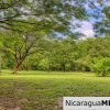 Beautiful Park Setting 4.5 Acres on Road to Maderas