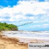 Beautiful Park Setting 4.5 Acres on Road to Maderas