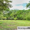 Beautiful Park Setting 4.5 Acres on Road to Maderas