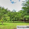Beautiful Park Setting 4.5 Acres on Road to Maderas