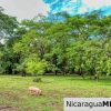 Beautiful Park Setting 4.5 Acres on Road to Maderas