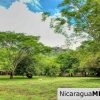 Beautiful Park Setting 4.5 Acres on Road to Maderas