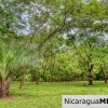Beautiful Park Setting 4.5 Acres on Road to Maderas