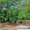 Beautiful Park Setting 4.5 Acres on Road to Maderas
