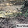 Miravalle Farm for Sale 7km From Town 8 or 18 Manzanas