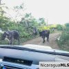 Miravalle Farm for Sale 7km From Town 8 or 18 Manzanas
