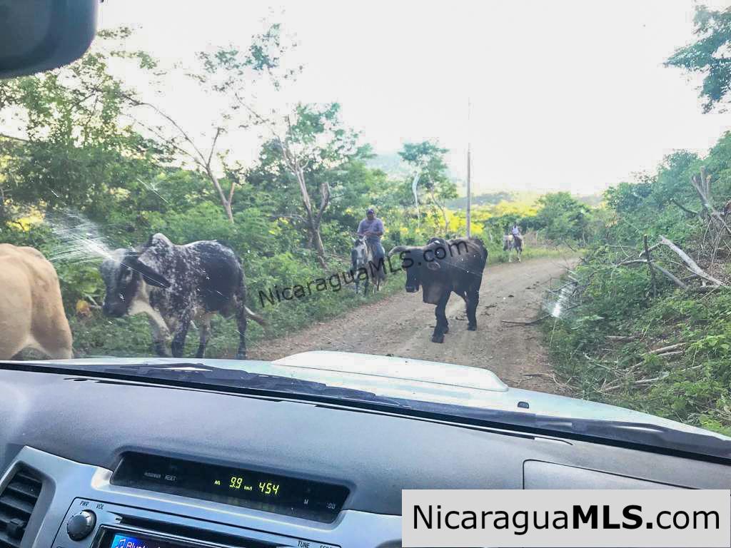 Miravalle Farm for Sale 7km From Town 8 or 18 Manzanas