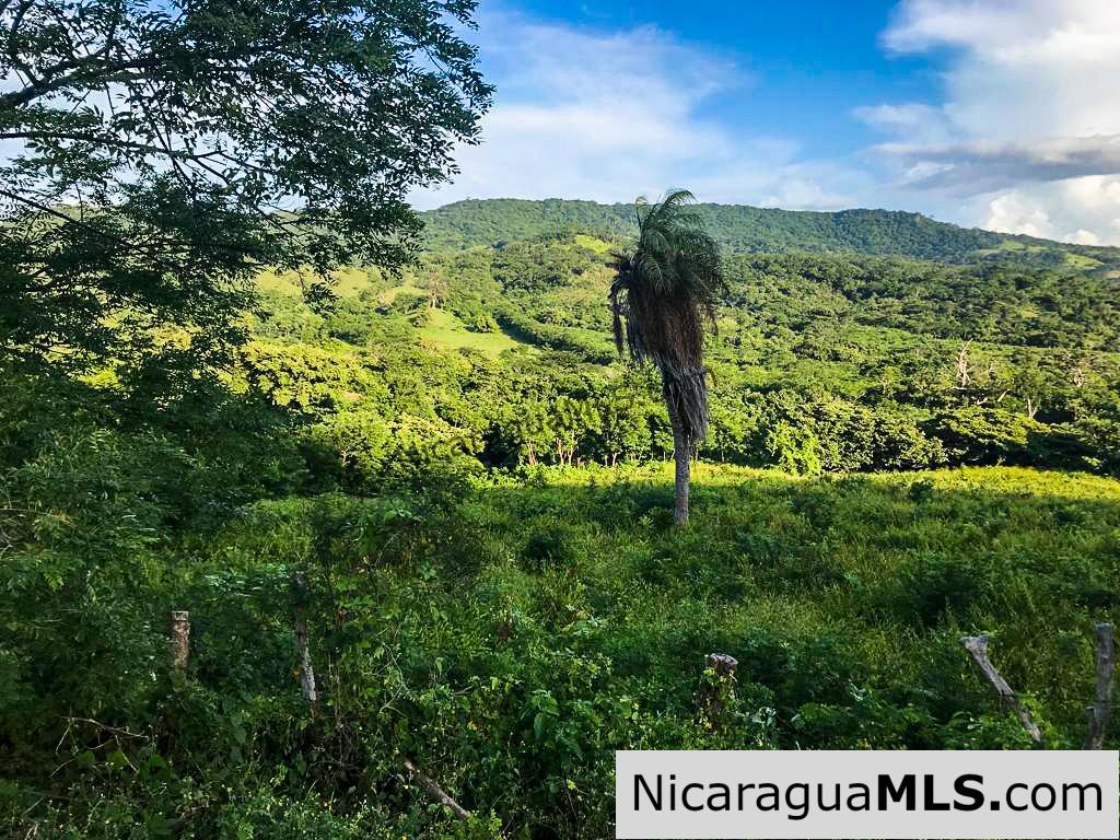 Miravalle Farm for Sale 7km From Town 8 or 18 Manzanas