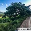 Miravalle Farm for Sale 7km From Town 8 or 18 Manzanas
