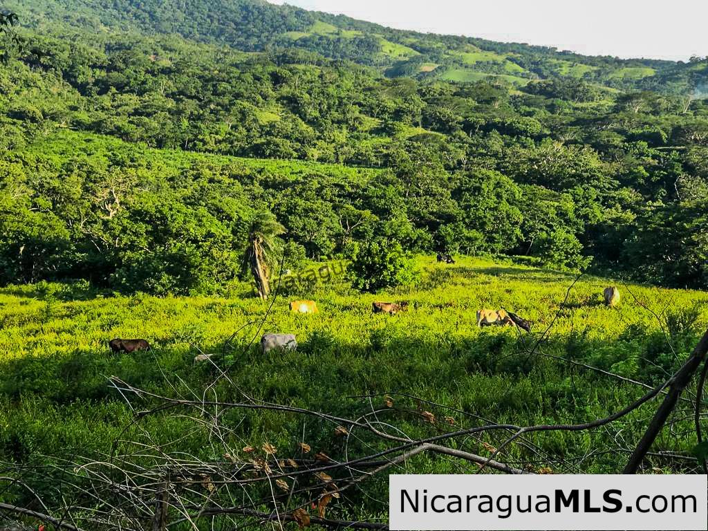 Miravalle Farm for Sale 7km From Town 8 or 18 Manzanas