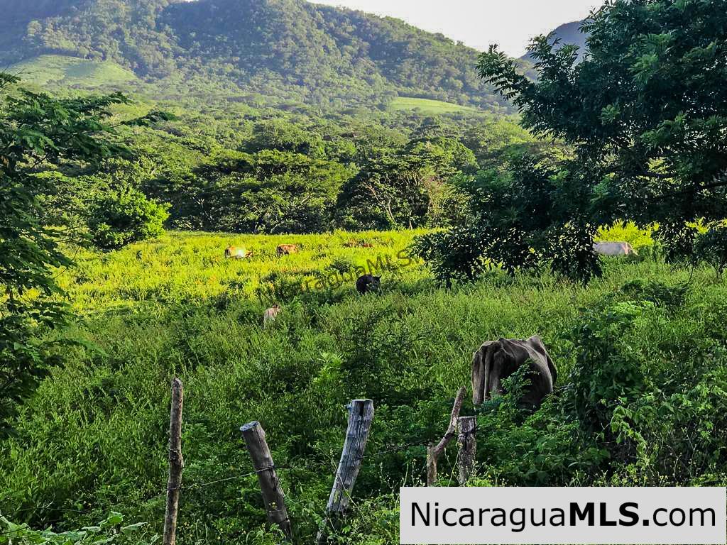 Miravalle Farm for Sale 7km From Town 8 or 18 Manzanas