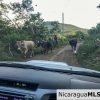Miravalle Farm for Sale 7km From Town 8 or 18 Manzanas