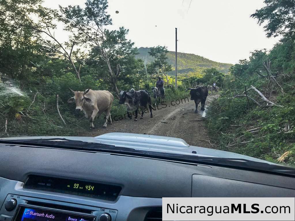 Miravalle Farm for Sale 7km From Town 8 or 18 Manzanas