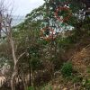 Amazing ocean views and walking distance to the beach