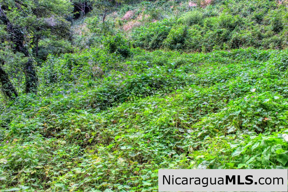 Lot 10 Montemar 5 minutes Walk to Beach in Town