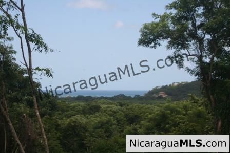 Eco Surf Lodge on 4 Acres