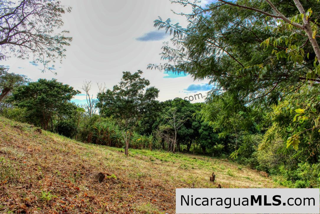 Sun and Shade Panoramic Views Oro Lot 14