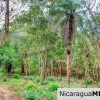 Sun and Shade Panoramic Views Oro Lot 14