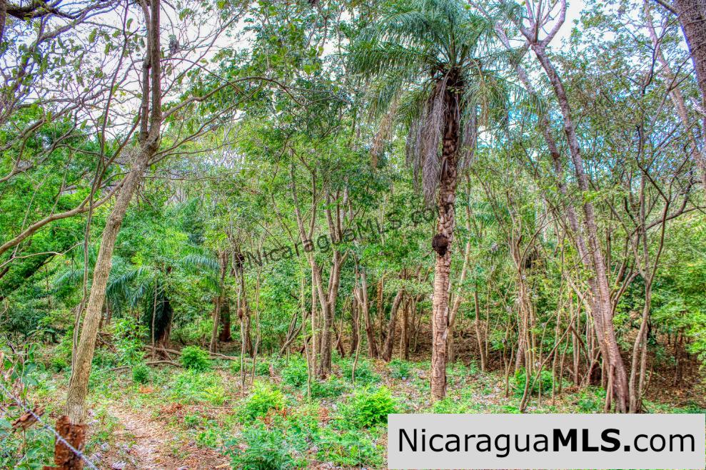 Sun and Shade Panoramic Views Oro Lot 14