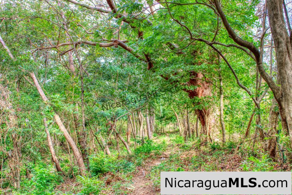 Sun and Shade Panoramic Views Oro Lot 14