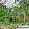 Sun and Shade Panoramic Views Oro Lot 14