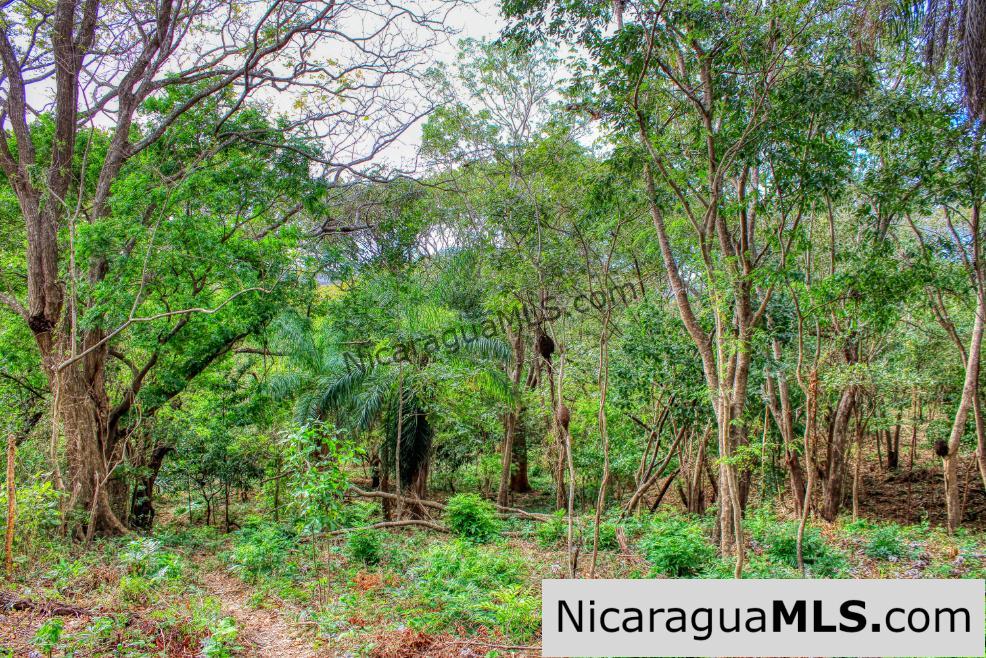 Sun and Shade Panoramic Views Oro Lot 14