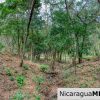 Sun and Shade Panoramic Views Oro Lot 14