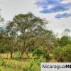 Sun and Shade Panoramic Views Oro Lot 14