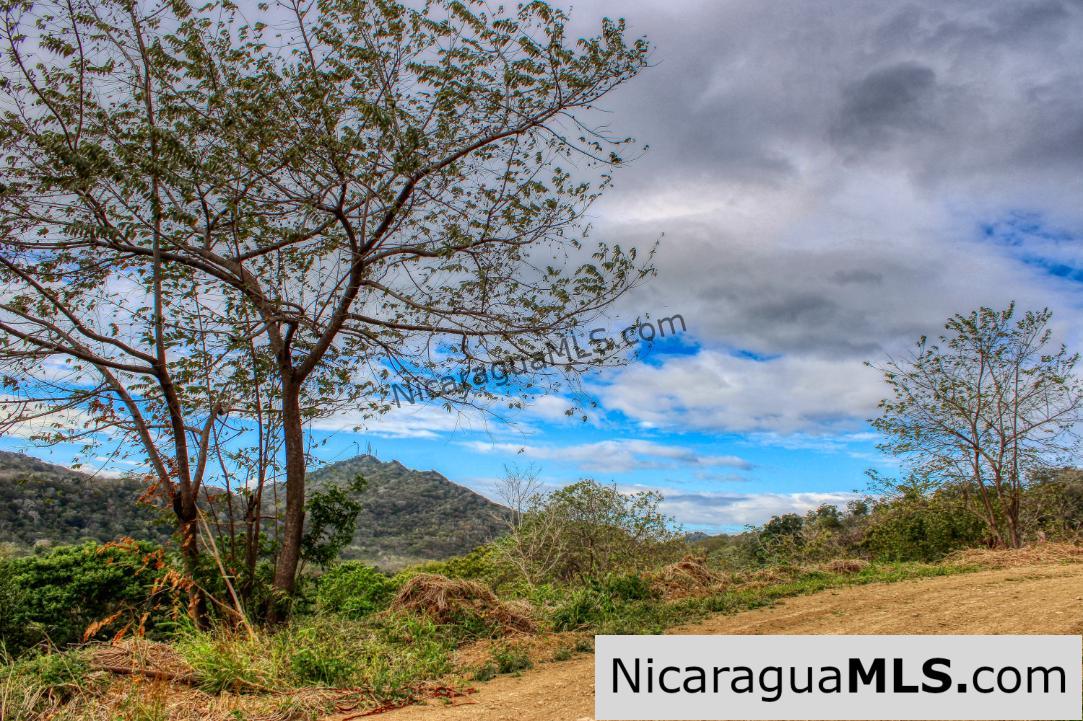 Sun and Shade Panoramic Views Oro Lot 14