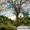 Sun and Shade Panoramic Views Oro Lot 14