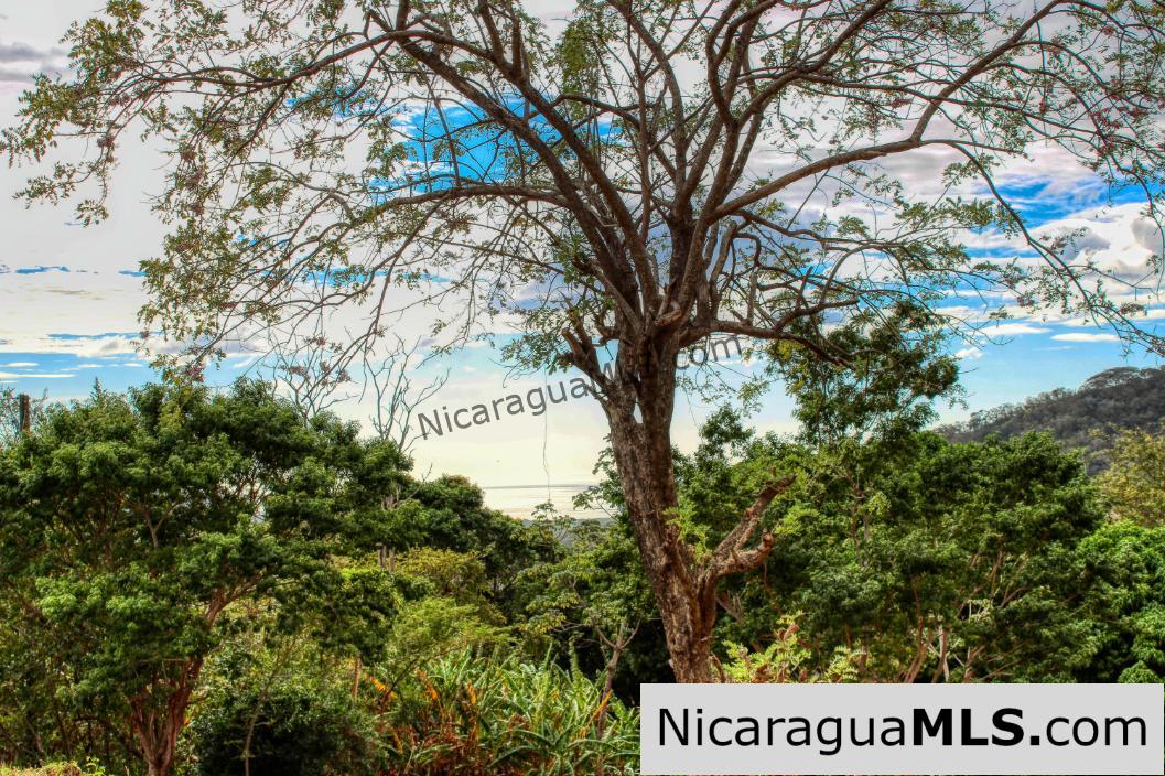 Sun and Shade Panoramic Views Oro Lot 14