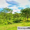 Panoramic View Estate 3 bed house 8.5 Acres in El Oro