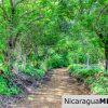 Panoramic View Estate 3 bed house 8.5 Acres in El Oro