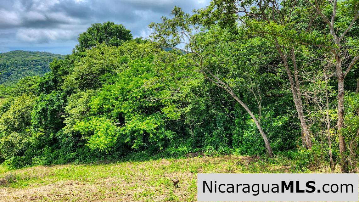 Ocean View Vacant Lot in Villas Oro San Juan del Sur