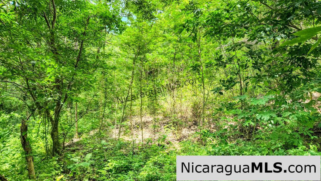 Ocean View Vacant Lot in Villas Oro San Juan del Sur