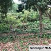 Playa Maderas Bargain 3.1 Acre Property