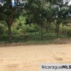 Playa Maderas Bargain 3.1 Acre Property