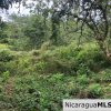 Playa Maderas Bargain 3.1 Acre Property