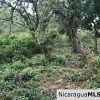 Playa Maderas Bargain 3.1 Acre Property