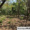 Playa Maderas Bargain 3.1 Acre Property