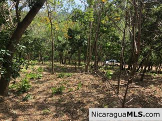 Playa Maderas Bargain 3.1 Acre Property