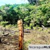 Beautiful lot within walking distance of Playa Maderas