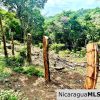 Beautiful lot within walking distance of Playa Maderas
