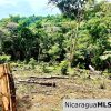 Beautiful lot within walking distance of Playa Maderas