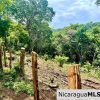 Beautiful lot within walking distance of Playa Maderas