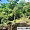 Beautiful lot within walking distance of Playa Maderas