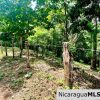 Beautiful lot within walking distance of Playa Maderas