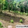 Beautiful lot within walking distance of Playa Maderas