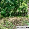 Beautiful lot within walking distance of Playa Maderas