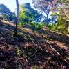Beautiful lot within walking distance of Playa Maderas
